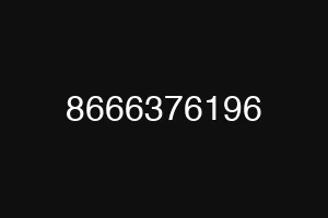 8666376196