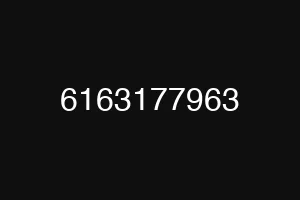 6163177963