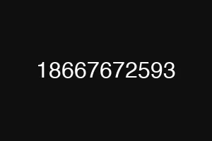 18667672593