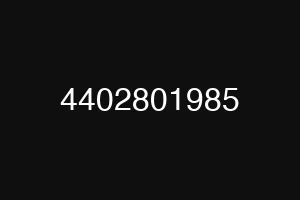 4402801985