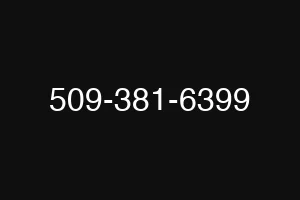 509-381-6399