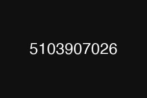 5103907026