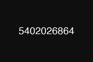 5402026864