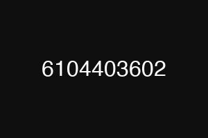 6104403602