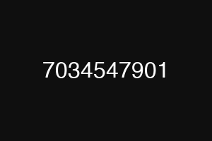 7034547901