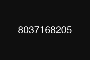 8037168205