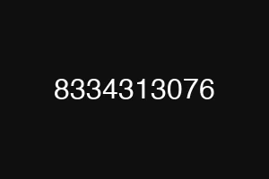 8334313076