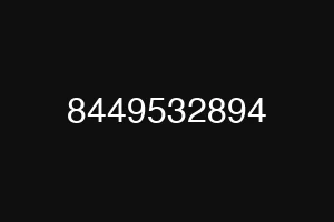 8449532894