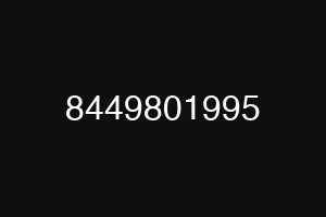 8449801995