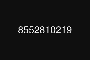 8552810219