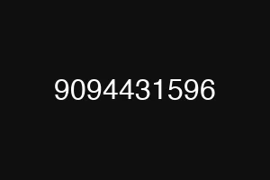 9094431596