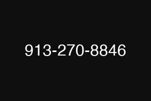 913-270-8846