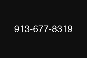 913-677-8319