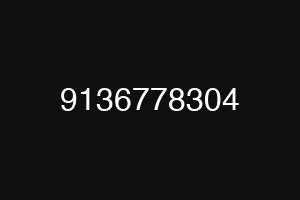 9136778304
