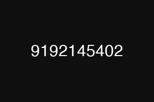 9192145402