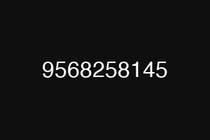 9568258145