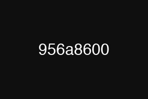 956a8600